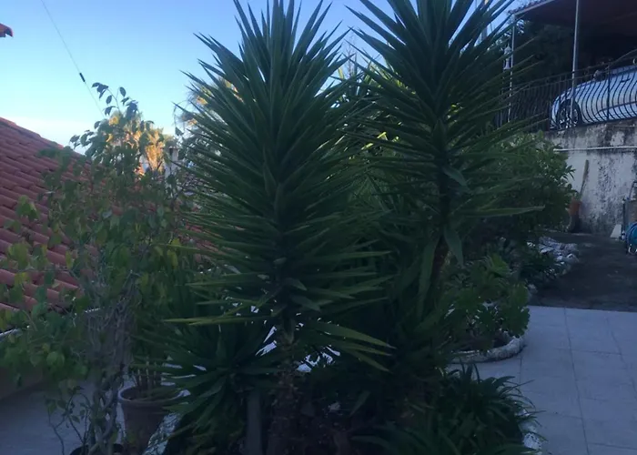 Toit Terrasse