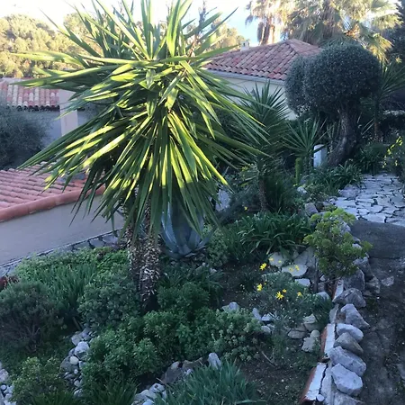 Toit Terrasse * Μεντόν