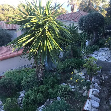 Toit Terrasse Διαμέρισμα